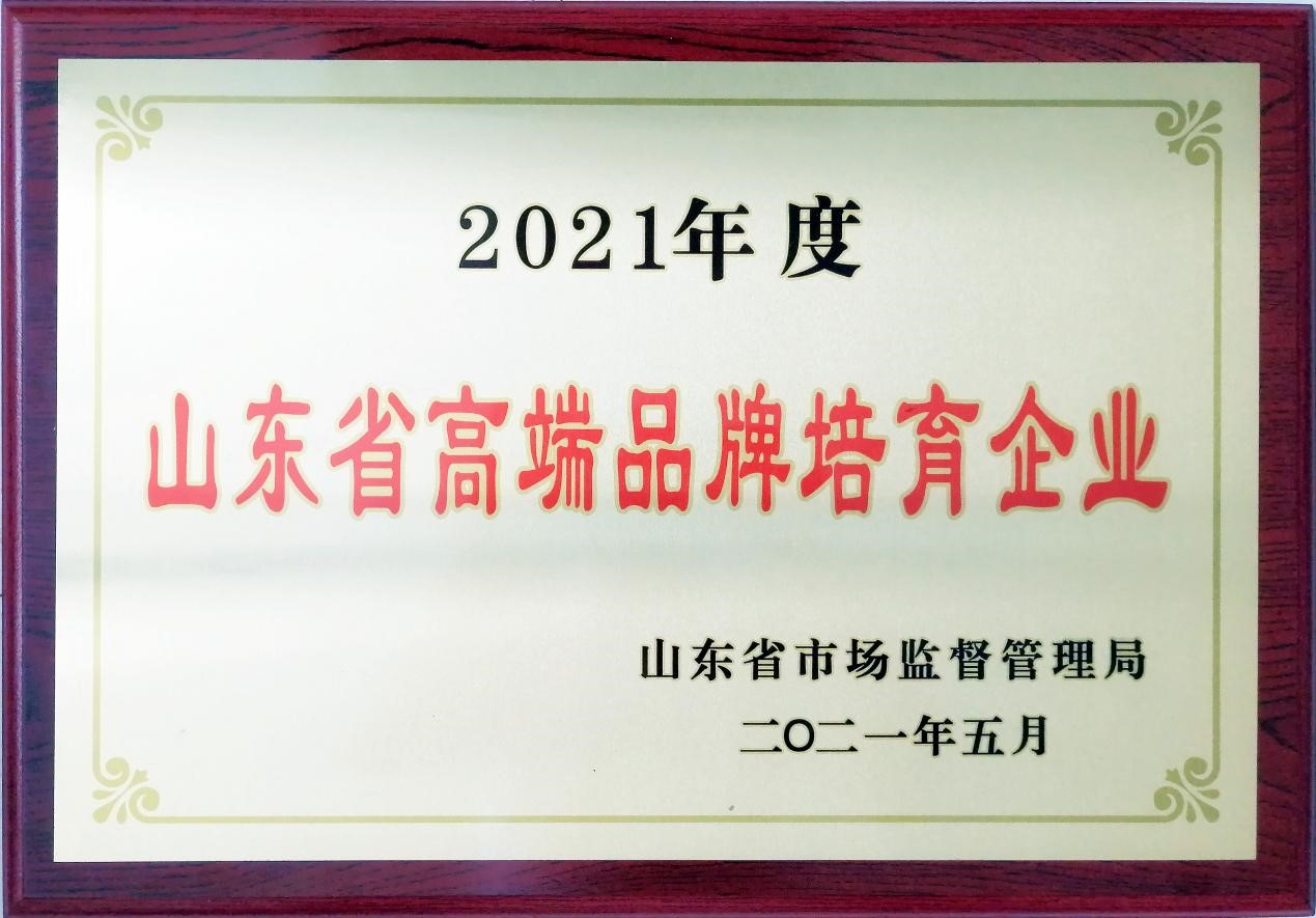 宝马线上娱乐永久线路检测集团获评2021年度山东省高端品牌培育企业